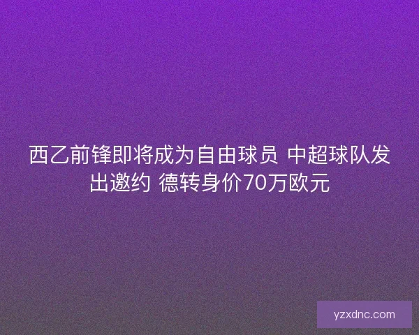 西乙前锋即将成为自由球员 中超球队发出邀约 德转身价70万欧元