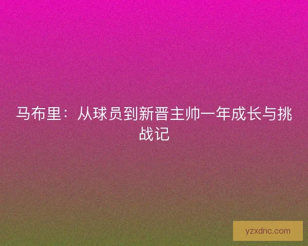 马布里：从球员到新晋主帅一年成长与挑战记