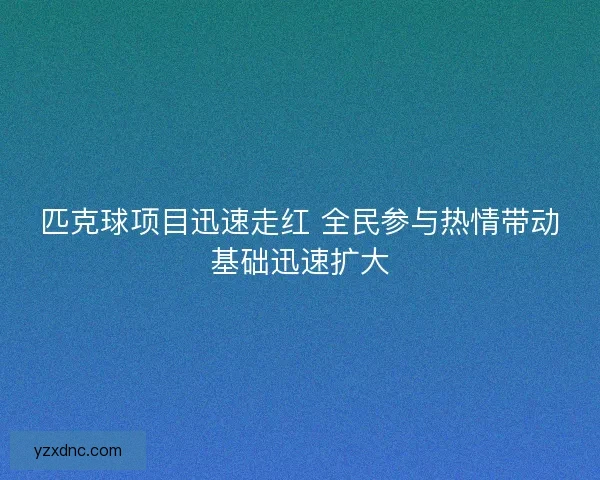 匹克球项目迅速走红 全民参与热情带动基础迅速扩大